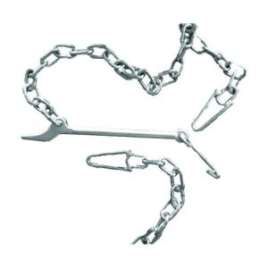 alysida-vamvakosporo